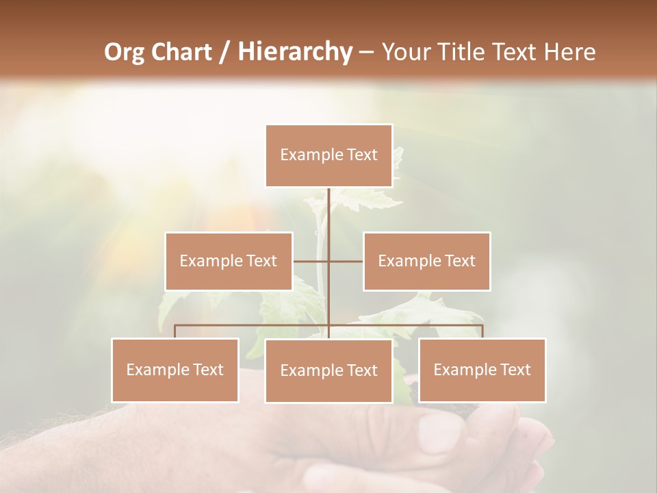 Environmental Spring Blurred PowerPoint Template