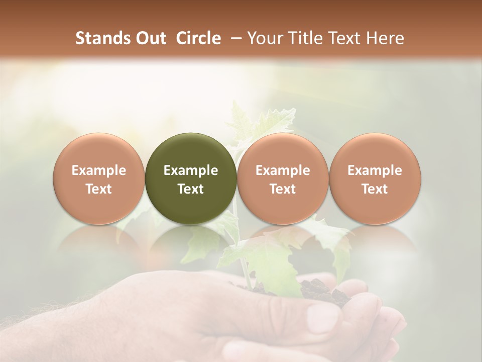 Environmental Spring Blurred PowerPoint Template