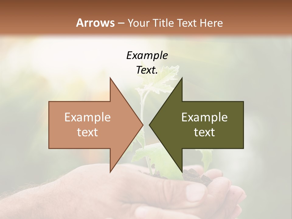 Environmental Spring Blurred PowerPoint Template