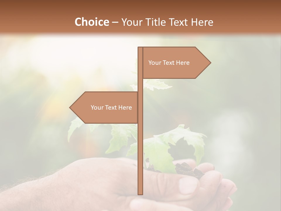 Environmental Spring Blurred PowerPoint Template