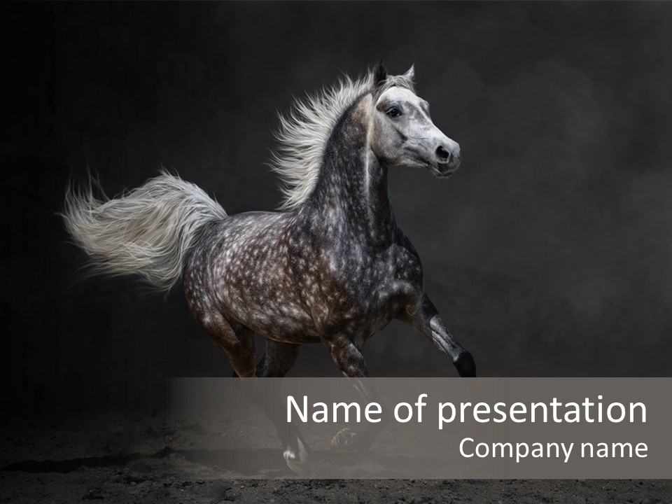 Darkly Horse Outdoor PowerPoint Template