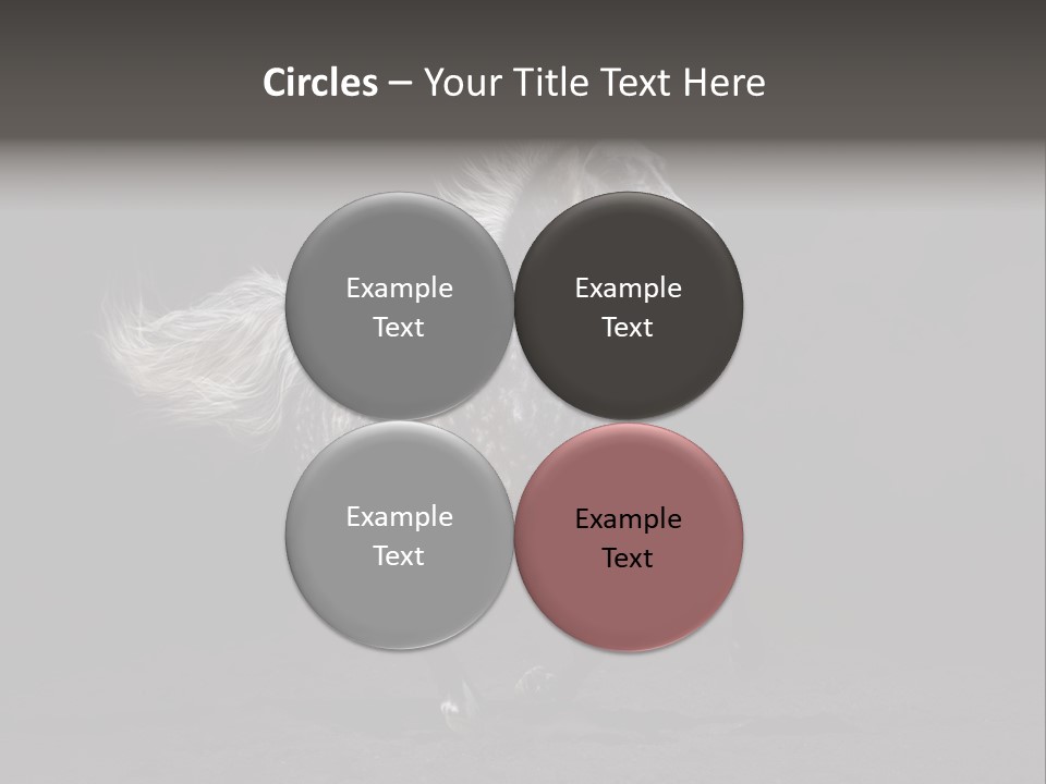 Darkly Horse Outdoor PowerPoint Template