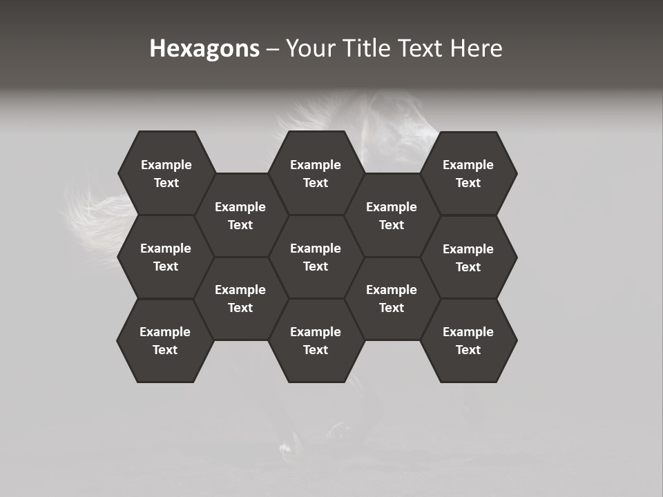 Darkly Horse Outdoor PowerPoint Template