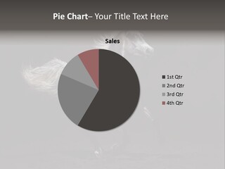 Darkly Horse Outdoor PowerPoint Template