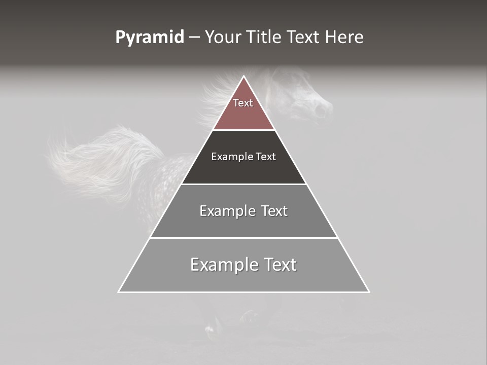 Darkly Horse Outdoor PowerPoint Template