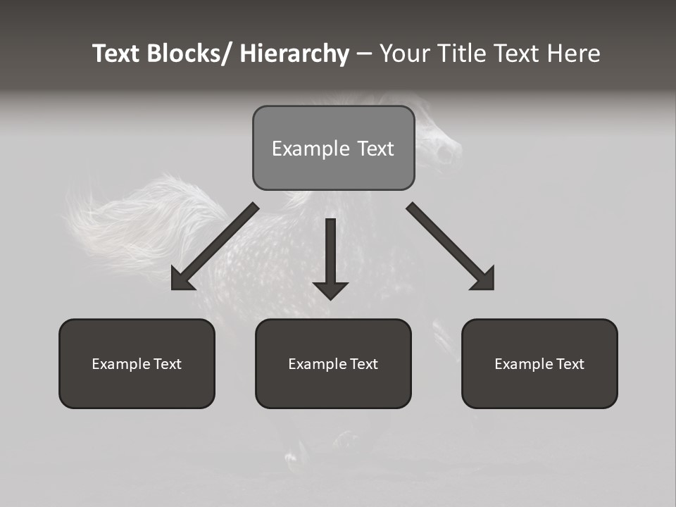 Darkly Horse Outdoor PowerPoint Template