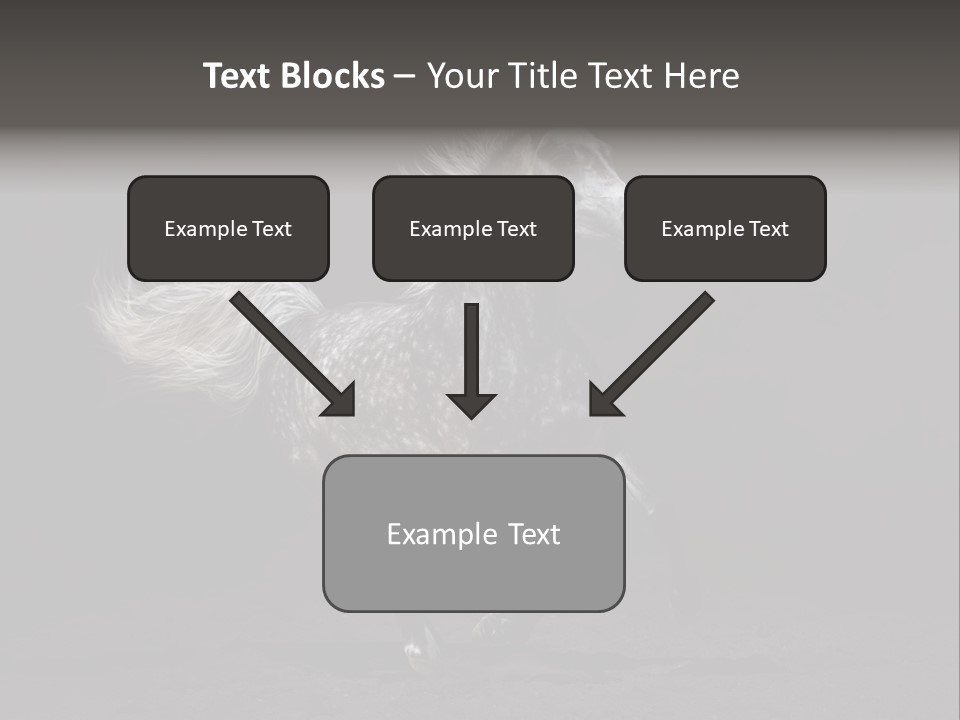 Darkly Horse Outdoor PowerPoint Template