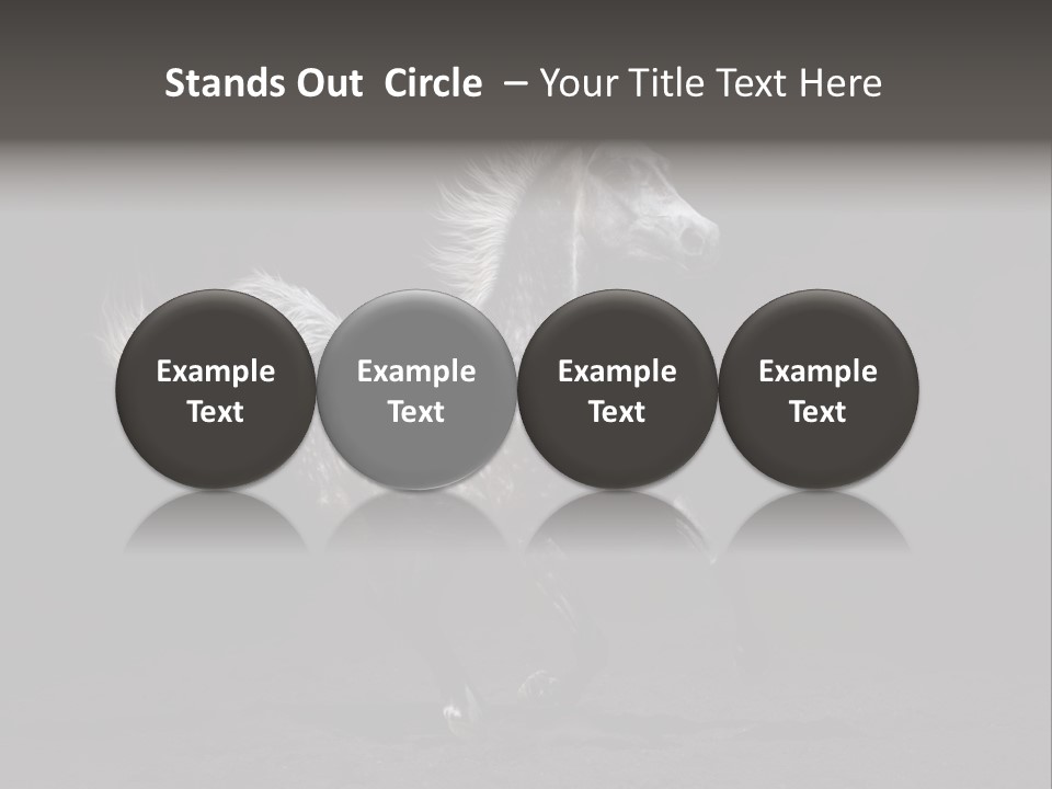 Darkly Horse Outdoor PowerPoint Template