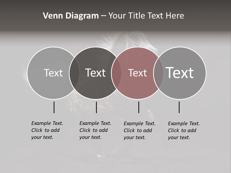 Darkly Horse Outdoor PowerPoint Template