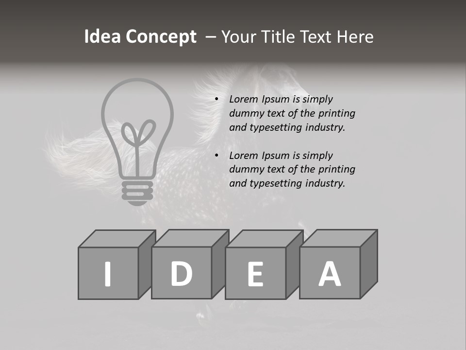 Darkly Horse Outdoor PowerPoint Template