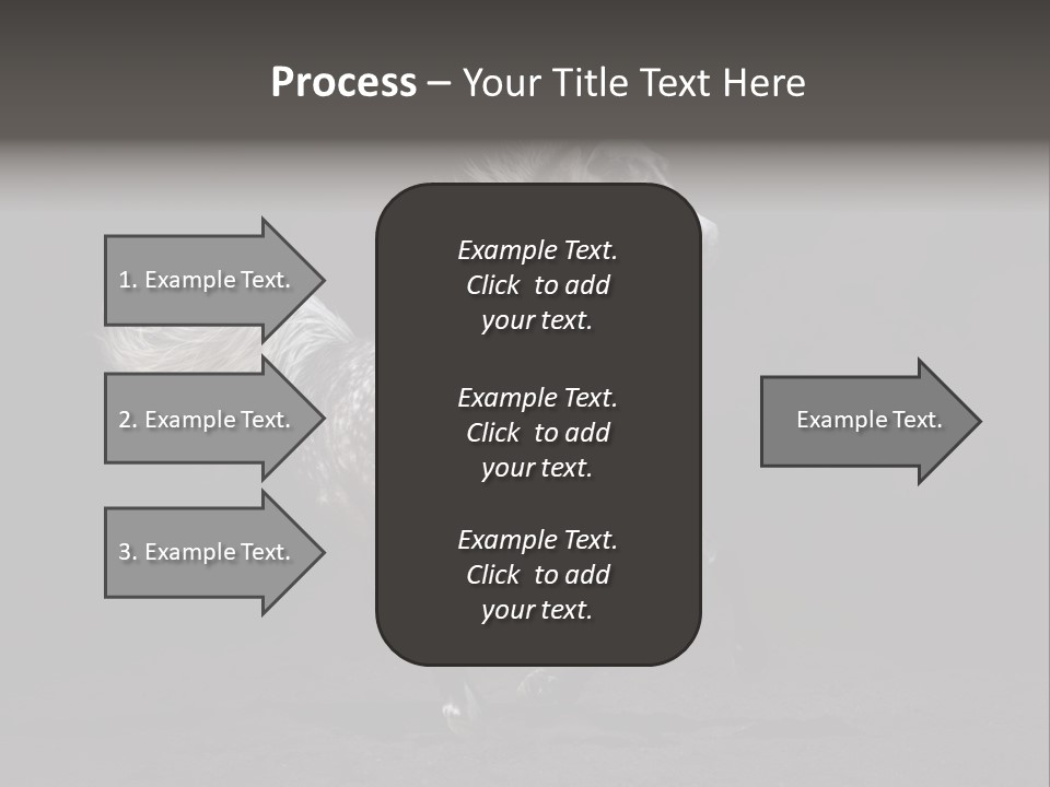 Darkly Horse Outdoor PowerPoint Template