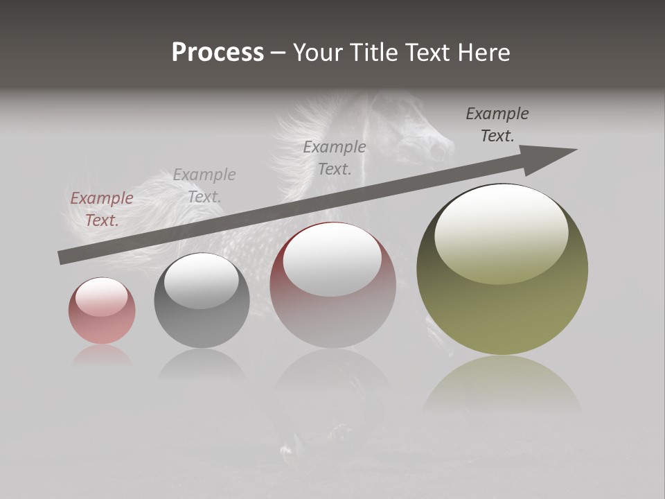 Darkly Horse Outdoor PowerPoint Template