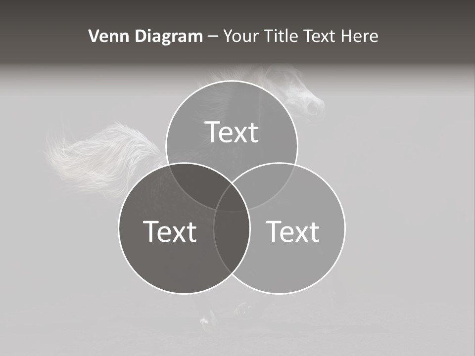 Darkly Horse Outdoor PowerPoint Template