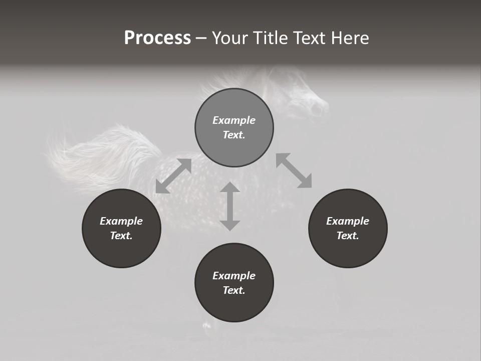 Darkly Horse Outdoor PowerPoint Template