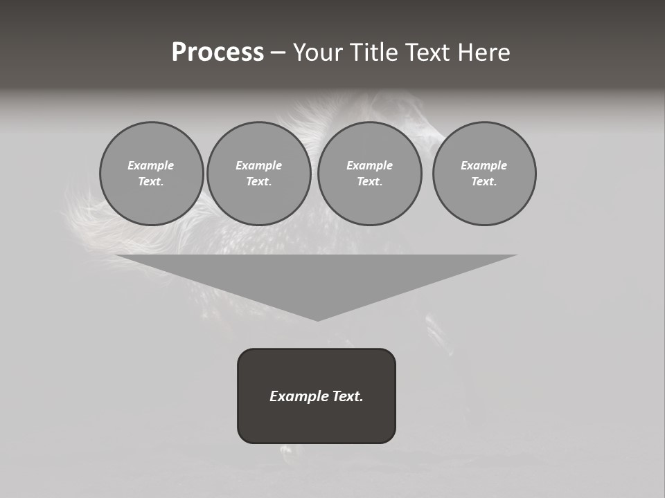Darkly Horse Outdoor PowerPoint Template