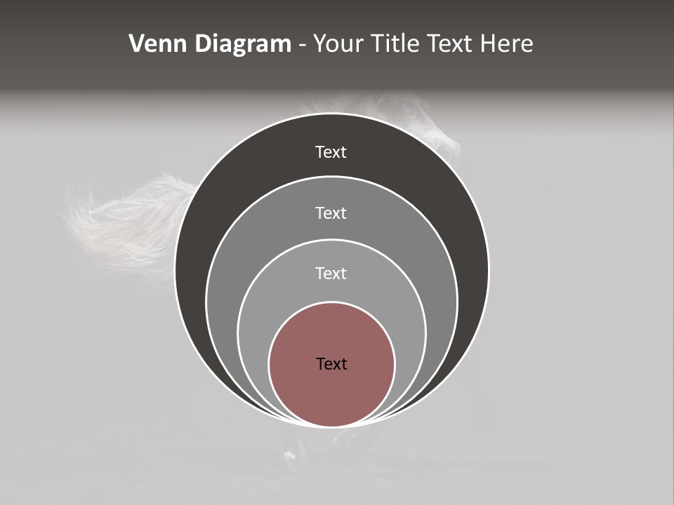 Darkly Horse Outdoor PowerPoint Template