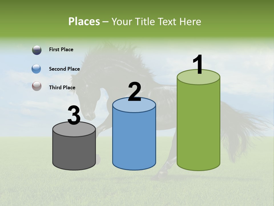 Stallion Livestock Outdoor PowerPoint Template