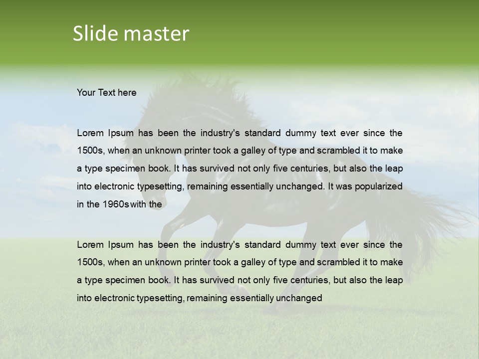 Stallion Livestock Outdoor PowerPoint Template