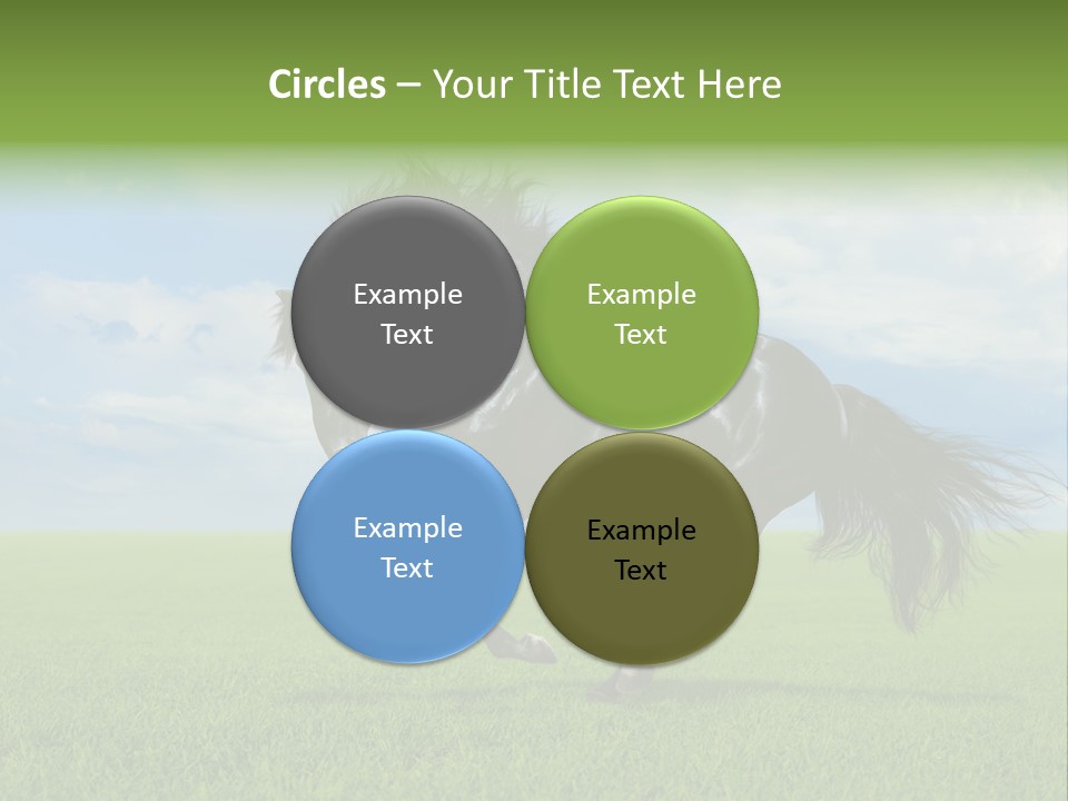 Stallion Livestock Outdoor PowerPoint Template