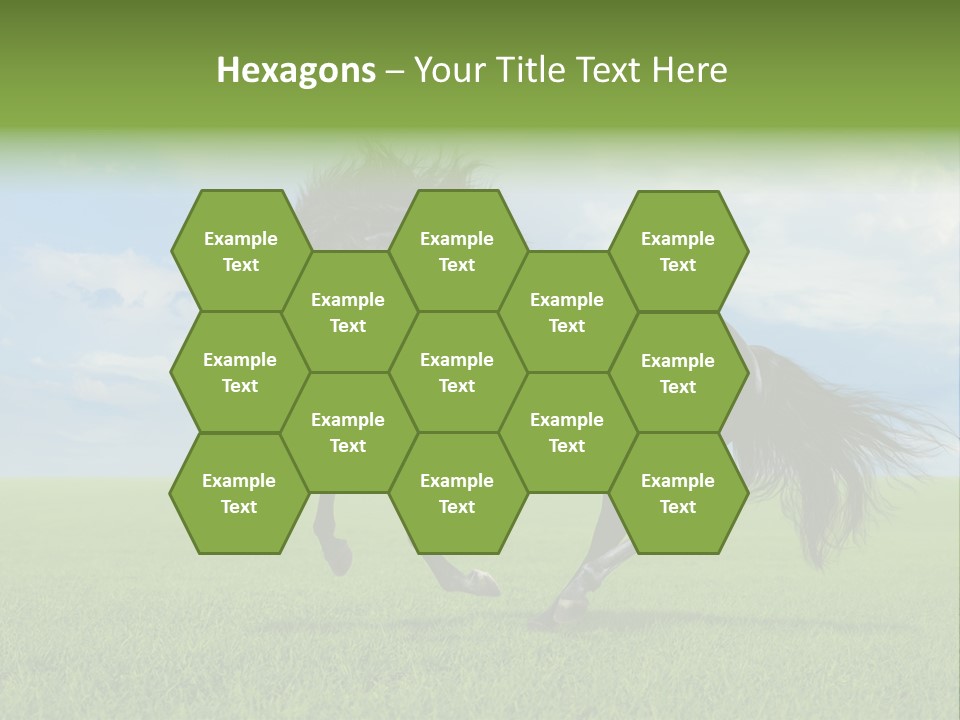 Stallion Livestock Outdoor PowerPoint Template