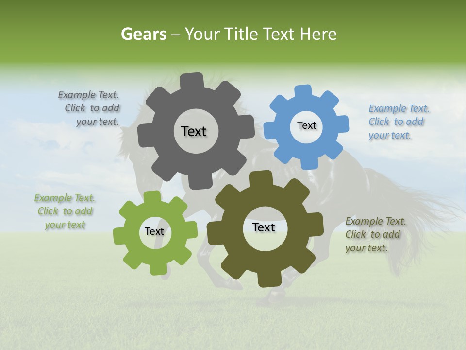 Stallion Livestock Outdoor PowerPoint Template