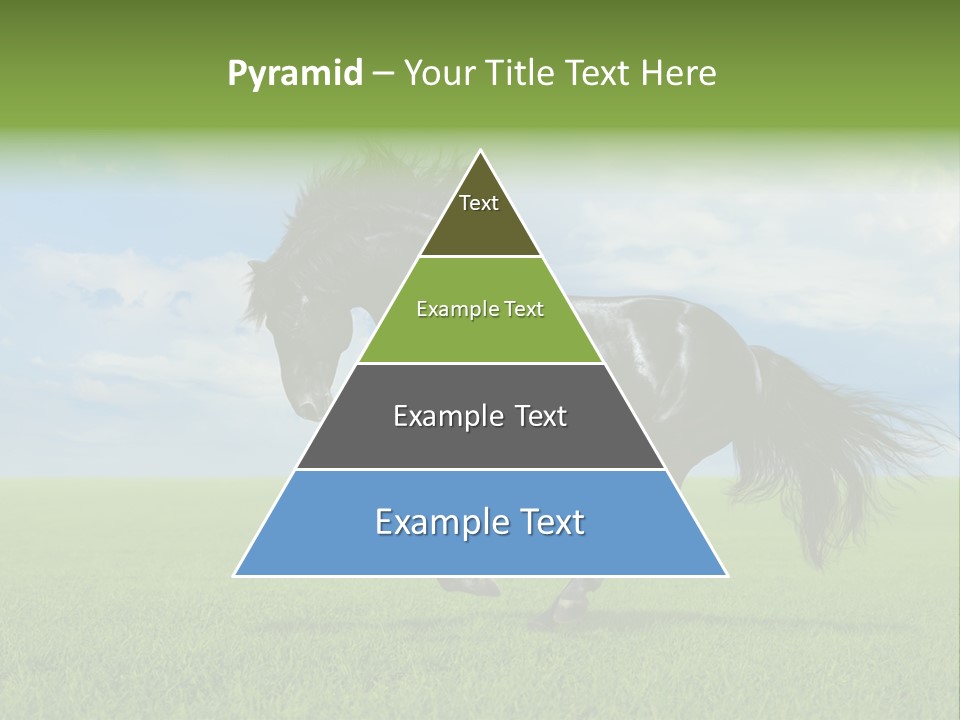 Stallion Livestock Outdoor PowerPoint Template