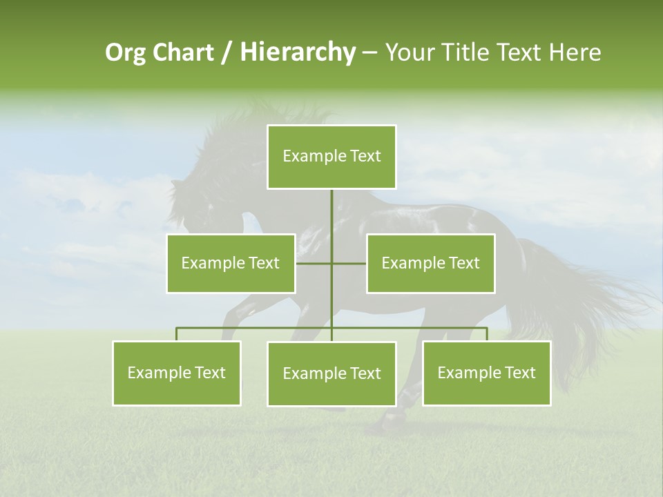 Stallion Livestock Outdoor PowerPoint Template