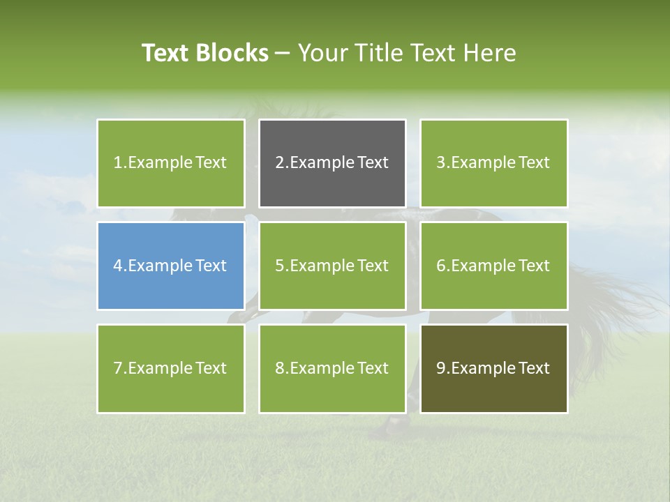 Stallion Livestock Outdoor PowerPoint Template