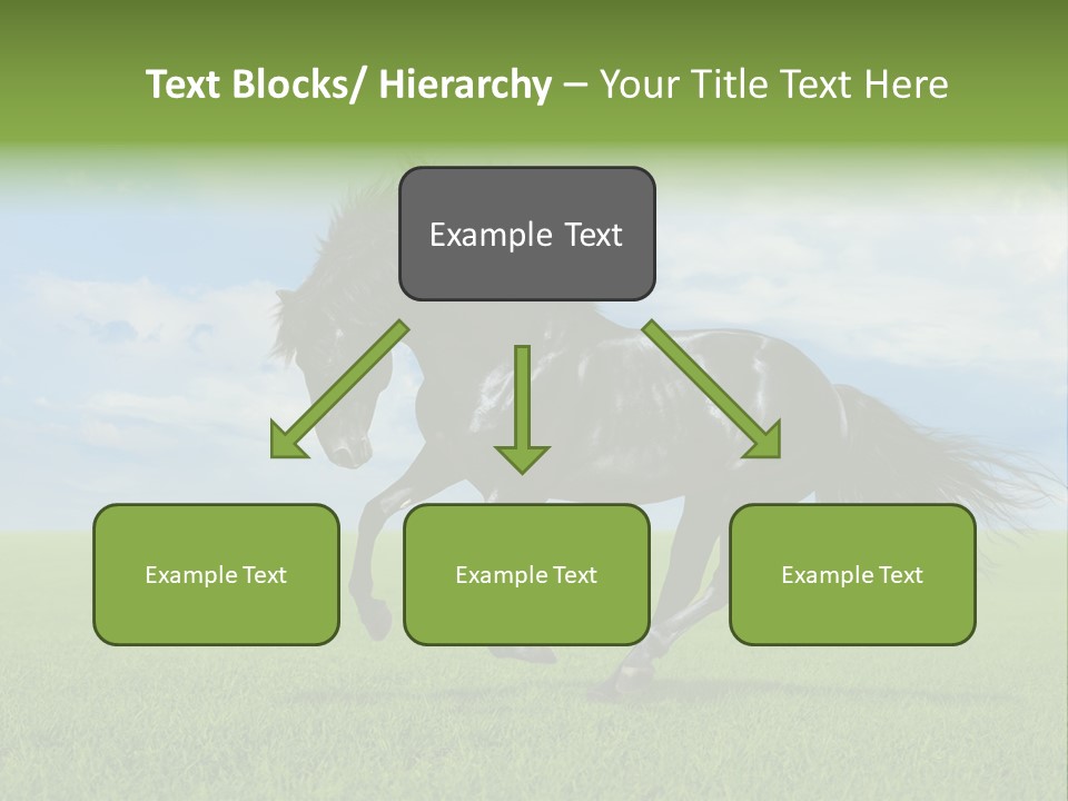 Stallion Livestock Outdoor PowerPoint Template