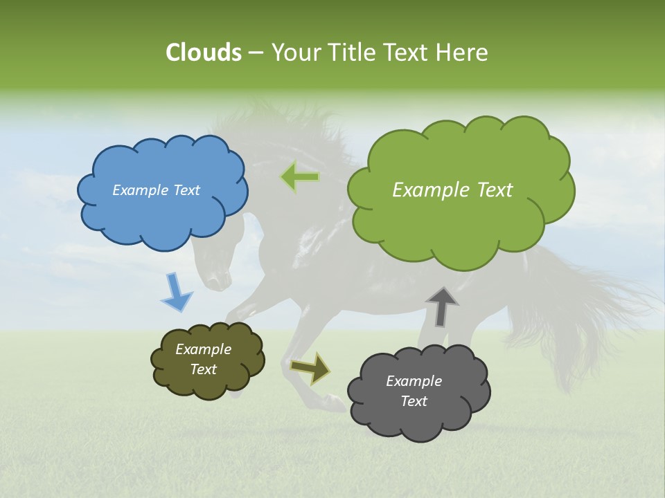 Stallion Livestock Outdoor PowerPoint Template
