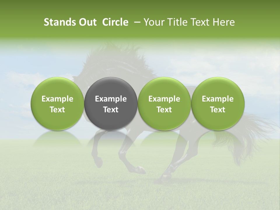 Stallion Livestock Outdoor PowerPoint Template