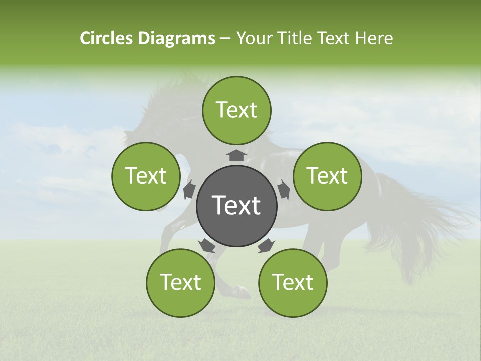 Stallion Livestock Outdoor PowerPoint Template