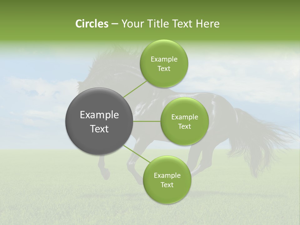 Stallion Livestock Outdoor PowerPoint Template