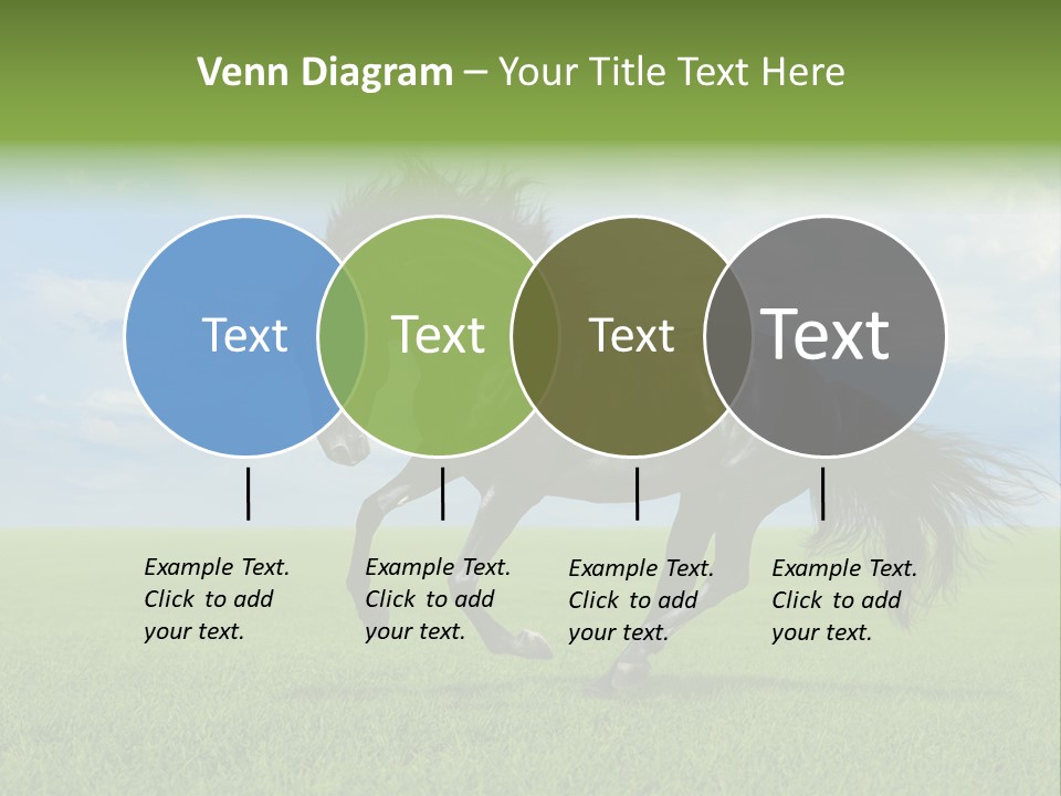 Stallion Livestock Outdoor PowerPoint Template