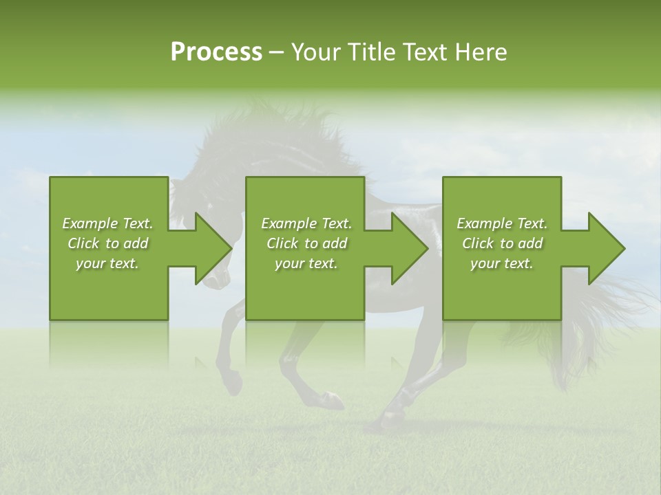 Stallion Livestock Outdoor PowerPoint Template