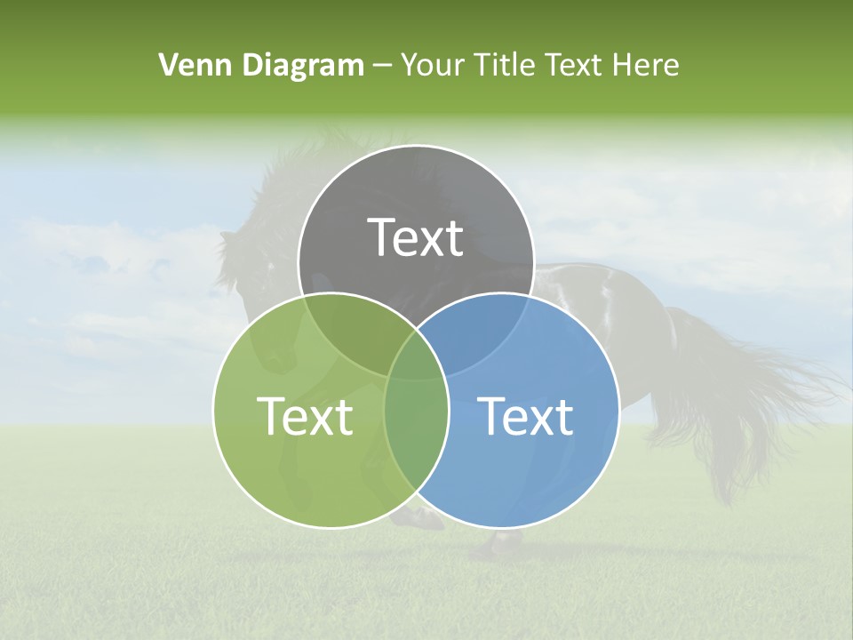 Stallion Livestock Outdoor PowerPoint Template