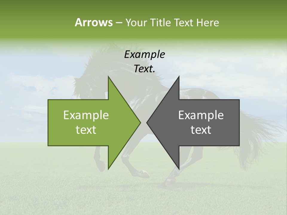 Stallion Livestock Outdoor PowerPoint Template