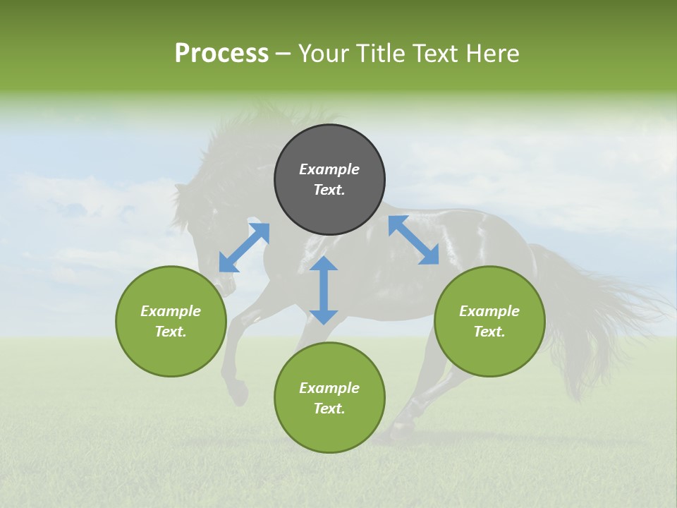 Stallion Livestock Outdoor PowerPoint Template