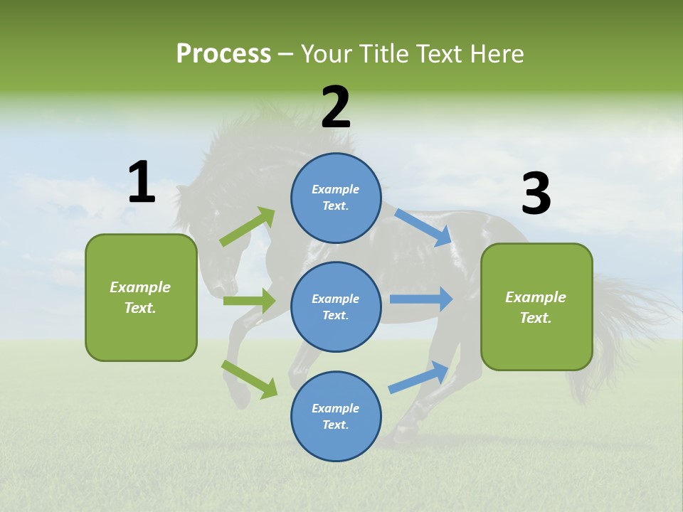 Stallion Livestock Outdoor PowerPoint Template