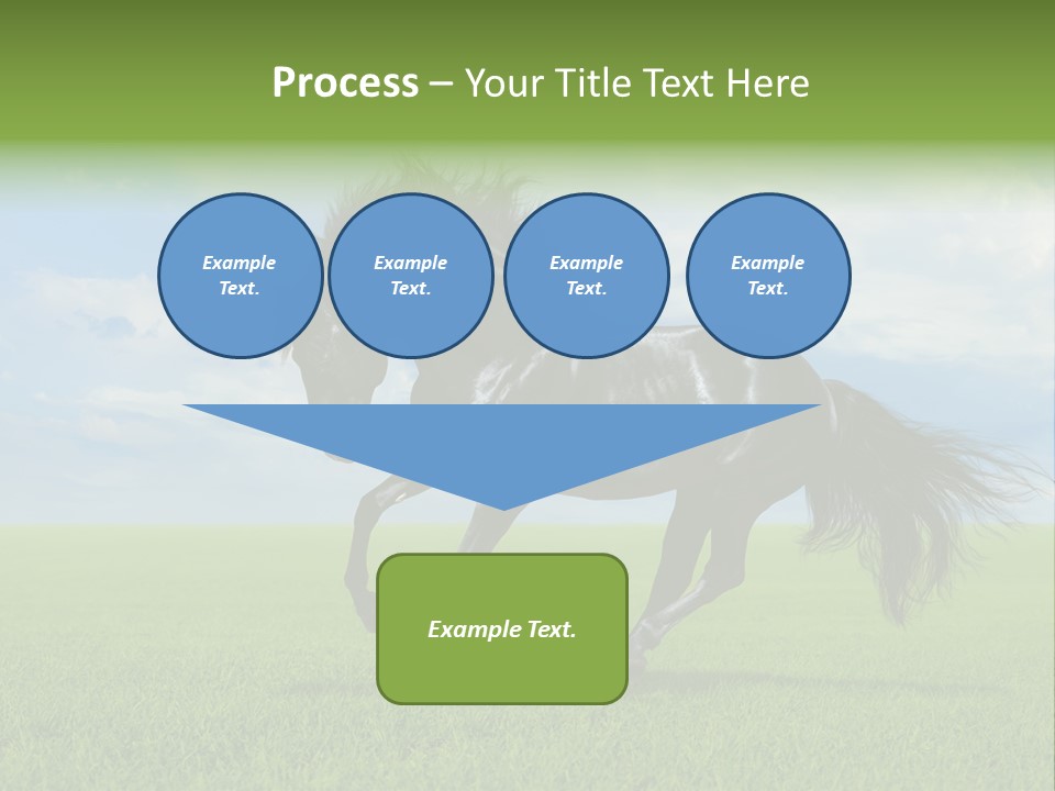 Stallion Livestock Outdoor PowerPoint Template