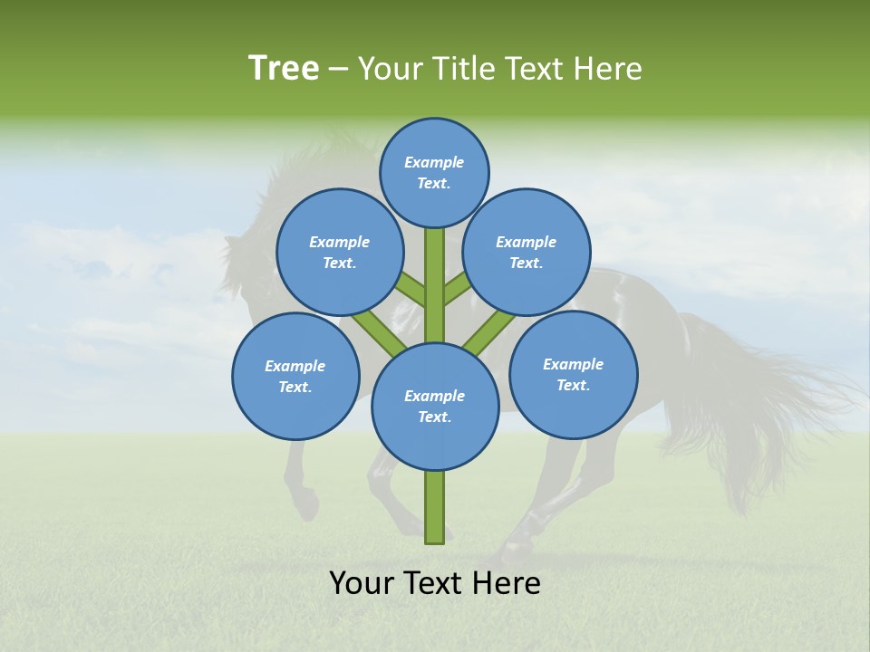 Stallion Livestock Outdoor PowerPoint Template