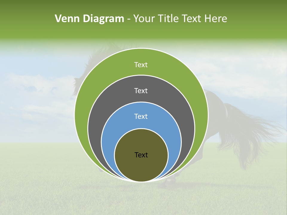 Stallion Livestock Outdoor PowerPoint Template