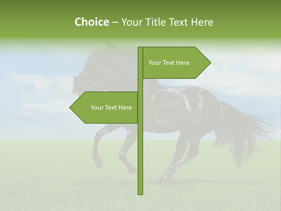Stallion Livestock Outdoor PowerPoint Template
