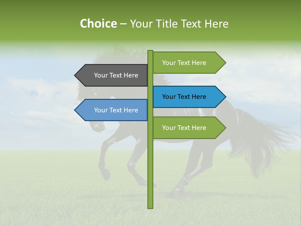 Stallion Livestock Outdoor PowerPoint Template