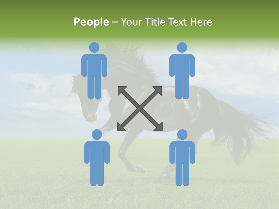 Stallion Livestock Outdoor PowerPoint Template