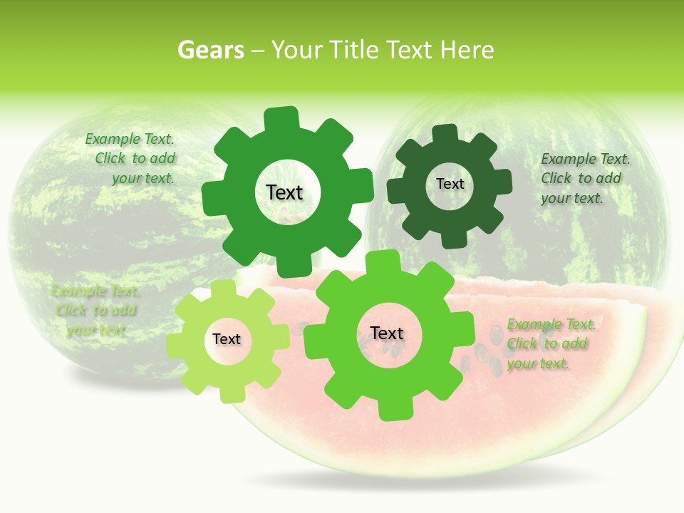 Isolated Green Watermelon PowerPoint Template