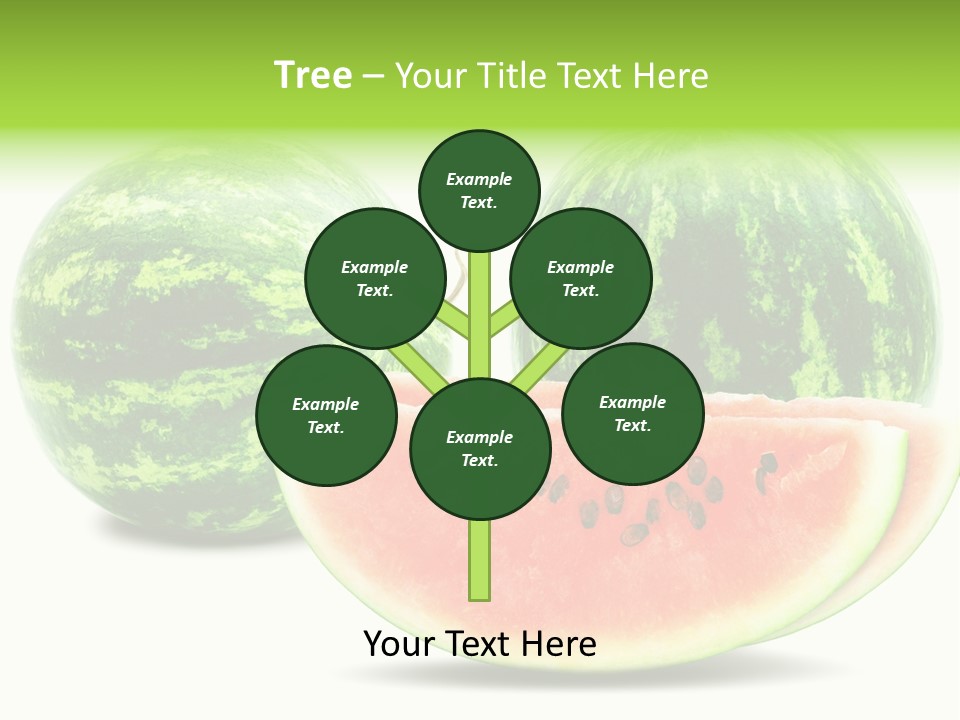 Isolated Green Watermelon PowerPoint Template