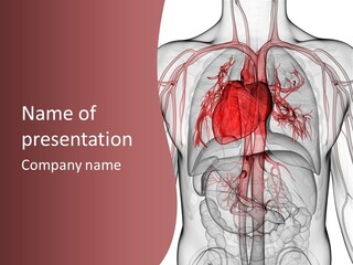 Heart Vessels X Ray PowerPoint Template