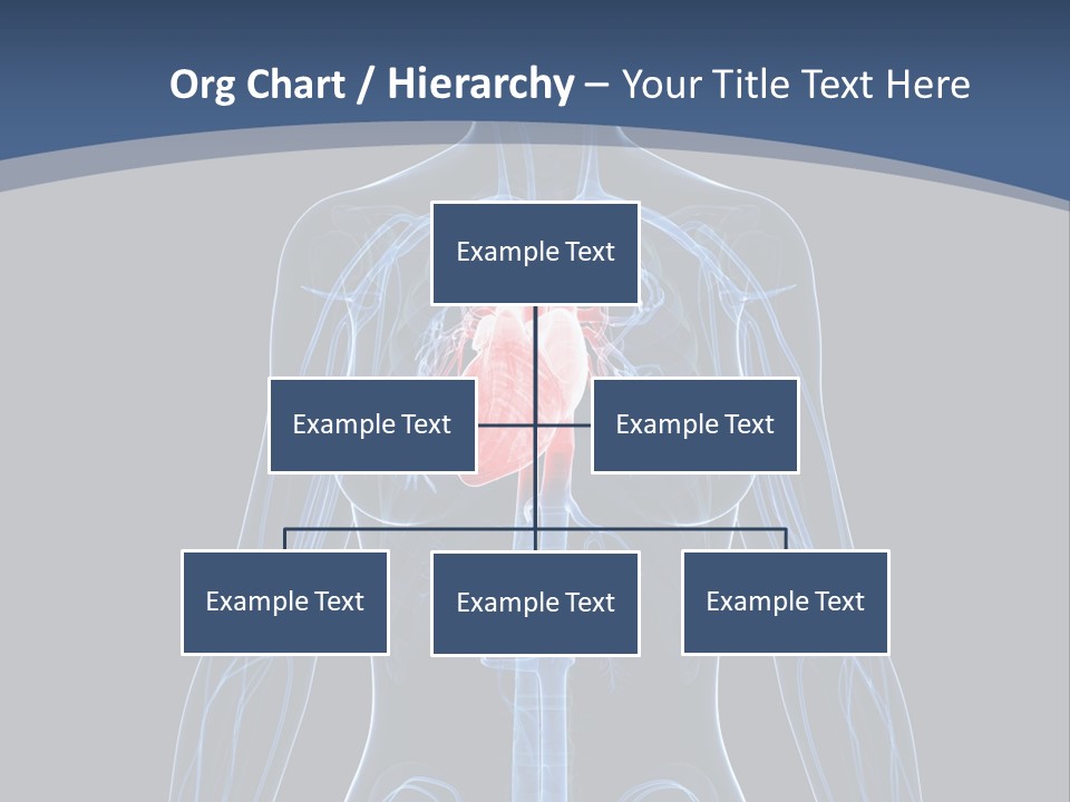 Skull Flying Medicine PowerPoint Template
