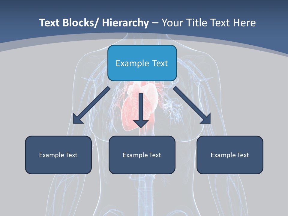 Skull Flying Medicine PowerPoint Template